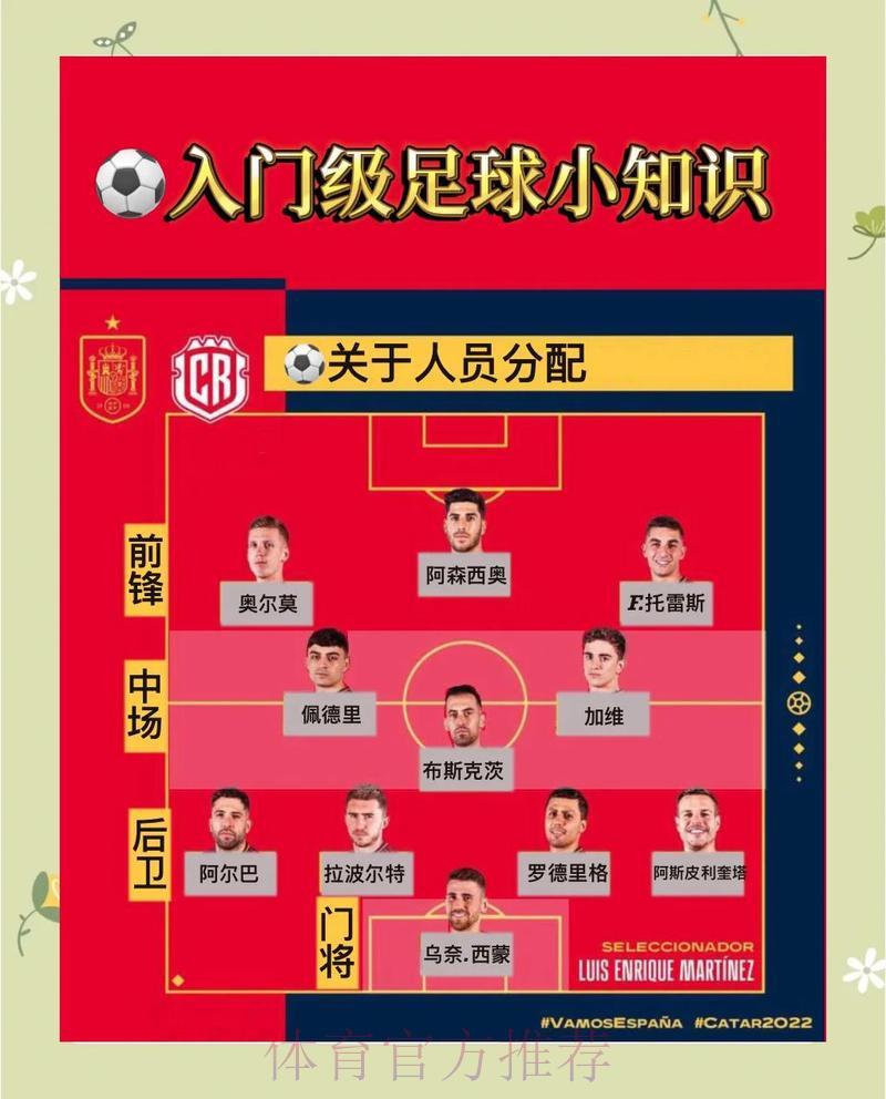 世界杯足球竞猜全面指南，入门玩家必备参考手册